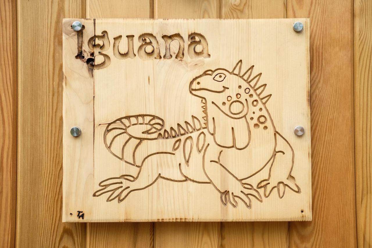 Iguana - Das Tiny Haus Am Reptilienzoo Reptilium 랜다우인더펠즈 외부 사진